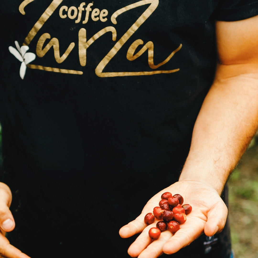 DECAF COLOMBIA Zarza