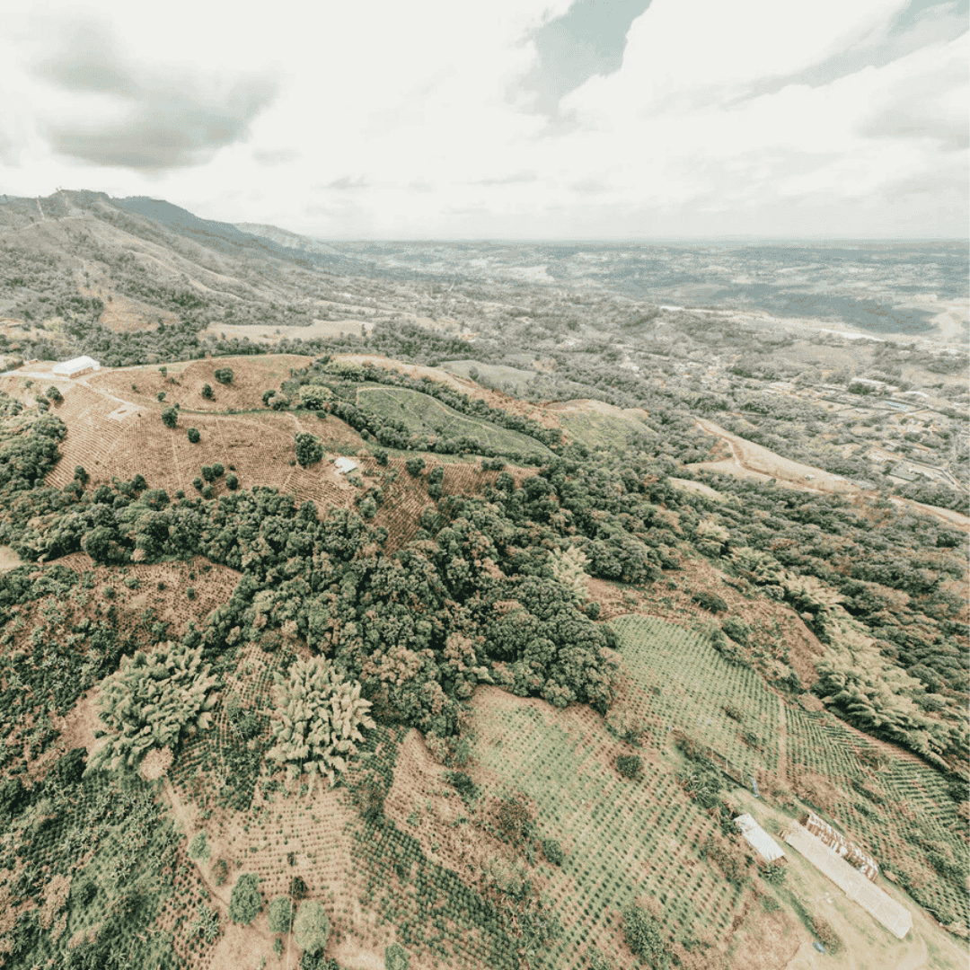 Aerial view of a Granja Paraiso 92