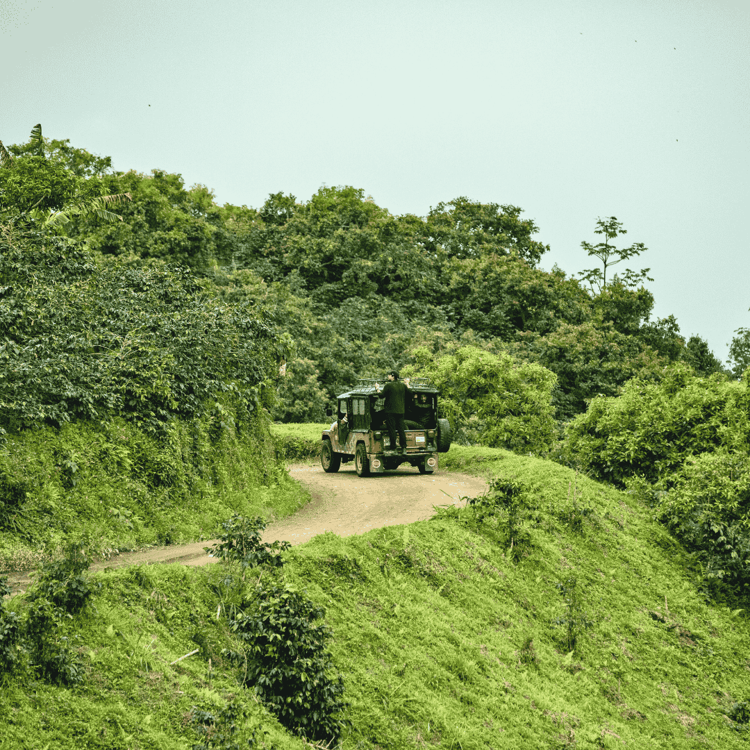 Car on a dirt road surrounded by greenery on El Vergel Coffee Farm