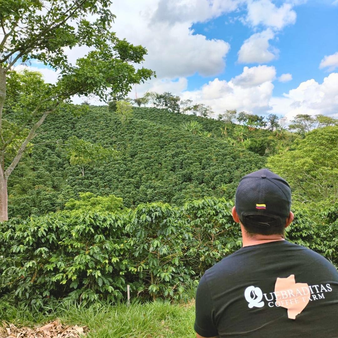 LOW CAF COLOMBIA Edinson Argote