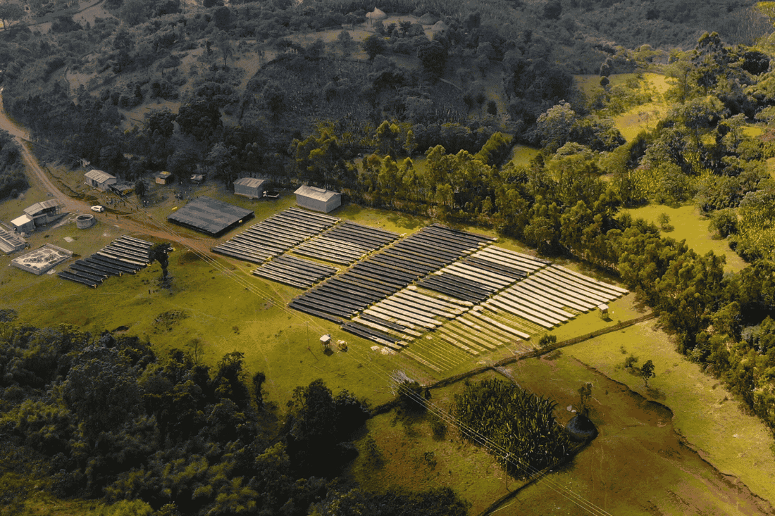 Understanding Coffee Certifications