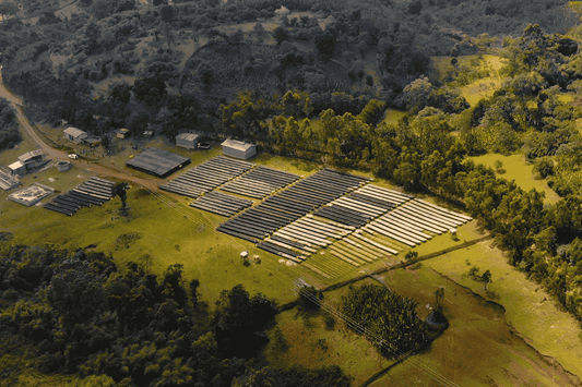 Understanding Coffee Certifications