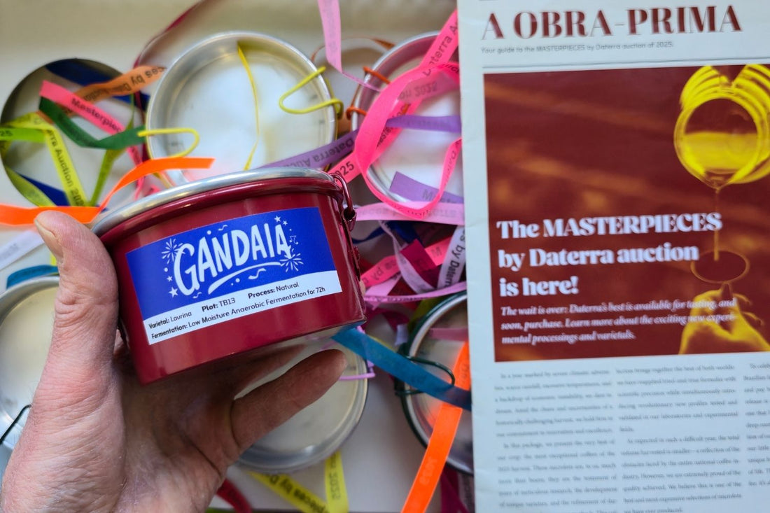 Daterra Masterpieces Auction 2025 - Laurina in the Limelight