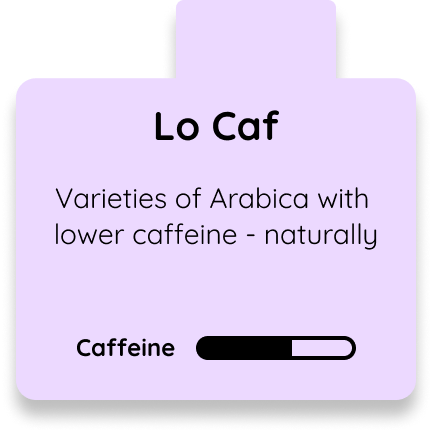 Low Caf