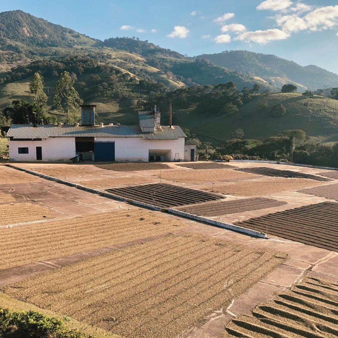 Coffee farm with drying patios and a building under a blue sky with clouds