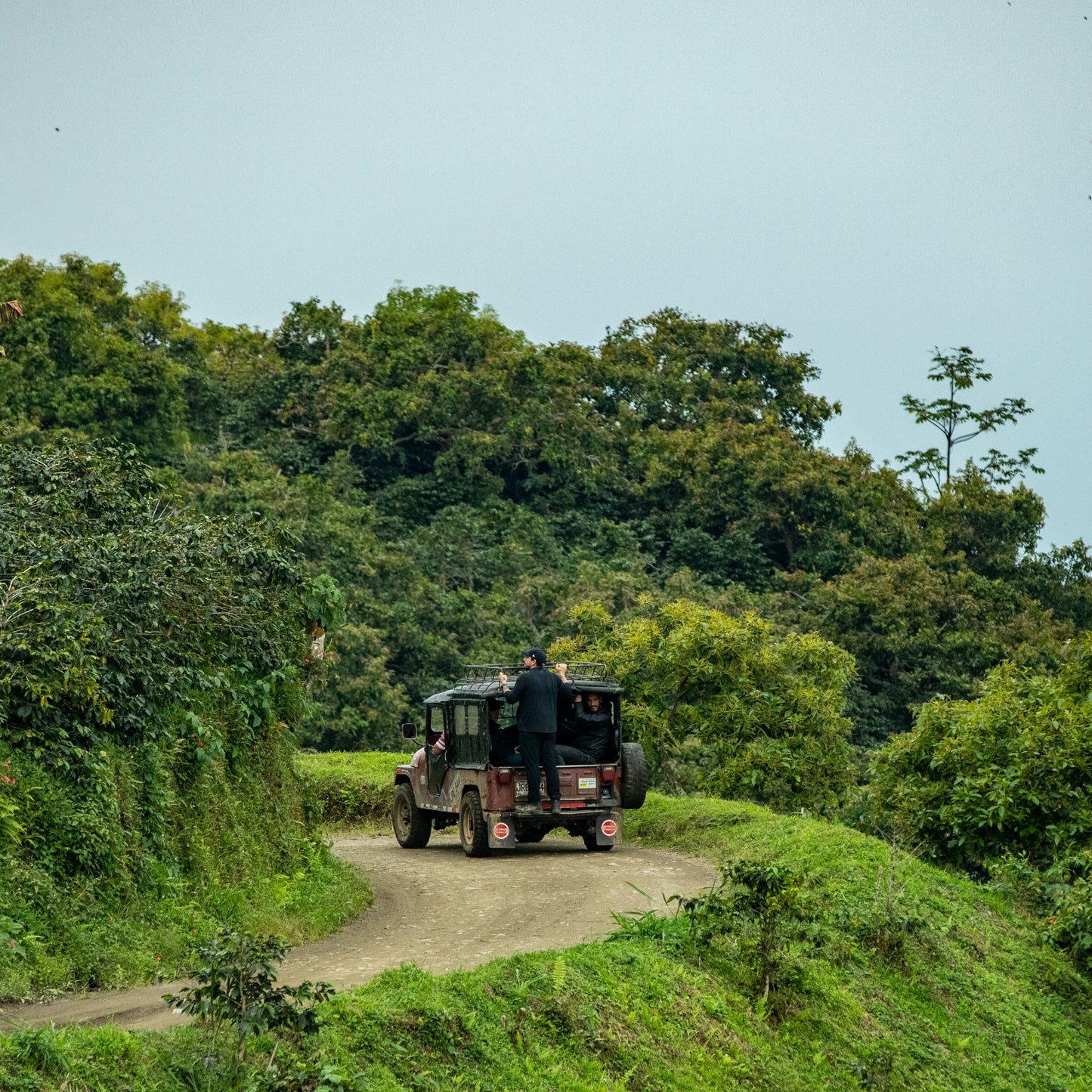 DECAF COLOMBIA El Vergel