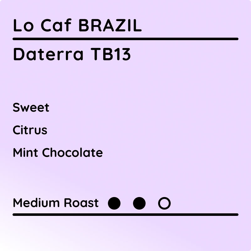 Tasting notes for Lo Caf Brazil TB13 Coffee on purple background