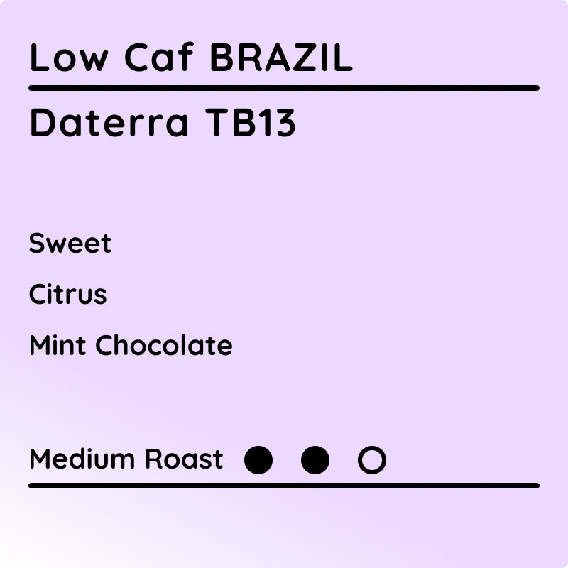 LOW CAF BRAZIL Daterra TB13