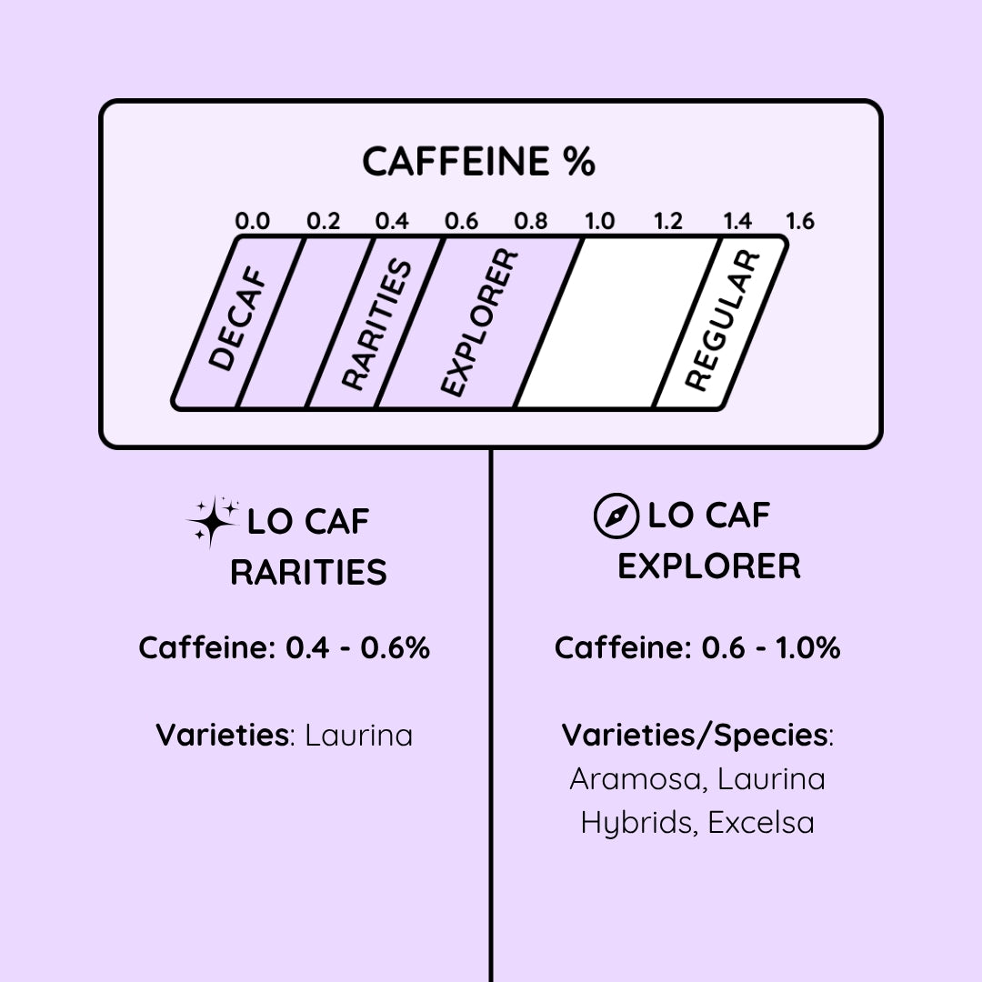 Low Caf Subscription